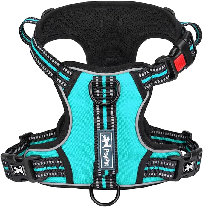 PoyPet No Pull Dog Harness, No Choke Front Clip Reflective Dog Vest with Soft Padded Vertical Handle, 3 Leash Attachments for Small Medium Large Dogs (Mint Blue,L) PoyPet