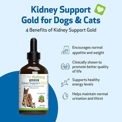 Pet Wellbeing Kidney Support Gold for Dogs & Cats - Healthy Kidney Function, Energy & Fluid Balance, Normal Appetite, Rehmannia, Dong Quai - Veterinarian-Formulated Herbal Supplement 4 oz (118 ml) PetWellbeing