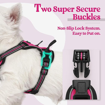rabbitgoo Dog Harness No Pull with 2 Leash Clips, Adjustable Soft Padded, Reflective Oxford No Choke Pet Vest with Easy Control Handle for Puppy, Hot Pink, XS rabbitgoo