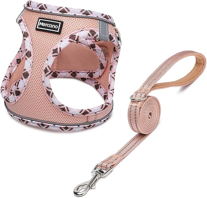 Mercano Soft Mesh Dog Harness and Leash Set, No-Chock Step-in Reflective Breathable Lightweight Easy Walk Vest Harnesses with Safety Buckle for Small Medium Dogs, Cats (Champagne, XXS) PAWPICO