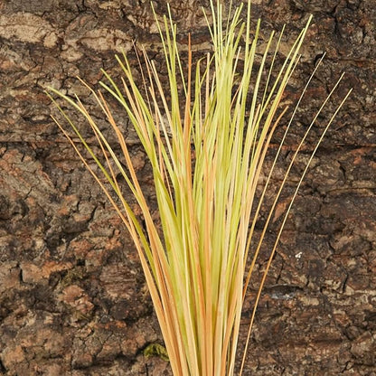 Fake Desert Dry Grass, Reptile Plants for Terrarium, Bearded Dragon Tank Accessories Habitat Decor fit Crested Gecko Leopard Lizard Chameleon Ball Python Snake WOLEDOE