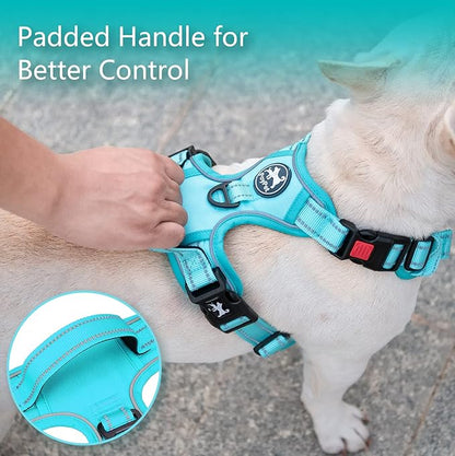 PoyPet No Pull Dog Harness, No Choke Reflective Dog Vest, Adjustable Pet Harnesses with Easy Control Padded Handle for Small Medium Large Dogs(Mint Blue Matching Trim,XL) PoyPet