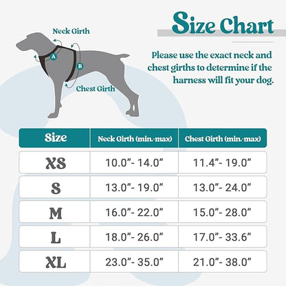 rabbitgoo Dog Harness No Pull with 2 Leash Clips, Adjustable Soft Padded, Reflective Oxford No Choke Pet Vest with Easy Control Handle for Large Dogs, Blue Coral, XL rabbitgoo