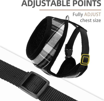 PUPTECK Soft Mesh Dog Harness and Leash Set Pet Puppy Cat Comfort Padded Vest No Pull Harnesses, Black, L PUPTECK