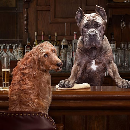 Fromm Adult Gold Premium Dry Dog Food - Chicken Recipe - 15 lb - PAWPICO