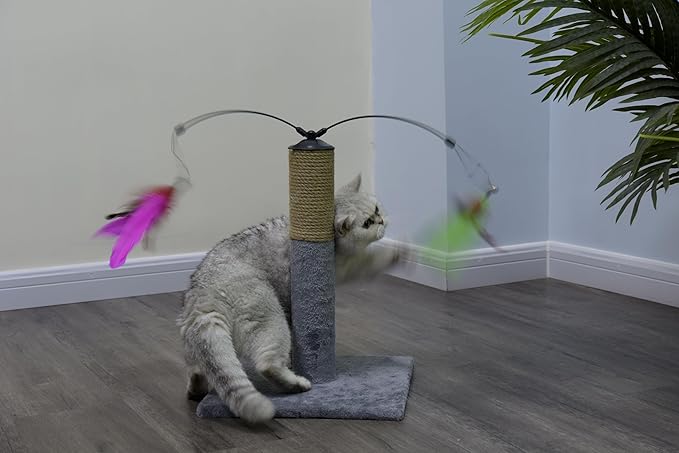 Go Pet Club Everyday Value 19in Scratching Post with Sisal Rope and Interactive Hanging Toy Feather, Gray - PAWPICO