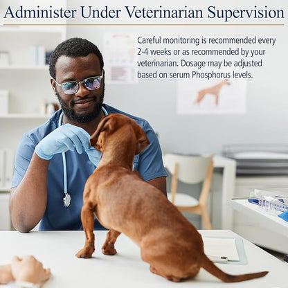 Rx Vitamins Phos-Bind - Kidney Support Supplement Powder - Phosphate Binder for Cats & Dogs for Kidney Health - Supports Normal Kidney Cleanse and Essential Kidney Care - 200g RxVitamins