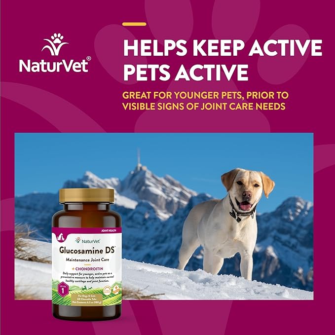 NaturVet Glucosamine DS Level 1 Maintenance Care Hip & Joint Support Pet Supplement for Dogs & Cats –Glucosamine, Chondroitin, Antioxidants –Supports Cartilage, Joint Function – 60 Ct. NaturVet