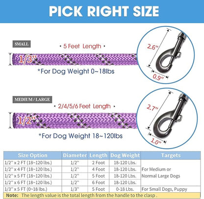BAAPET 2/4/5/6 FT Dog Leash with Comfortable Padded Handle and Highly Reflective Threads for Small Medium and Large Dogs (2FT-1/2'', Purple) BAAPET