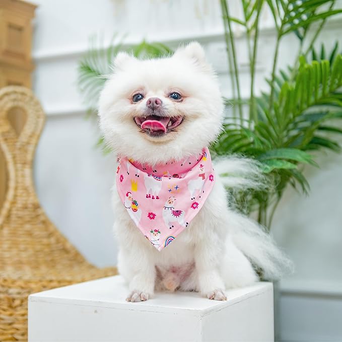PUPTECK Adjustable Dog Harness Collar and Leash Set, Step in No Pull Pet Harness for Small Medium Dogs Puppy Cats Outdoor Walking, Soft Mesh Padded Reflective Vest Harnesses, Light Pink Alpaca, L PUPTECK