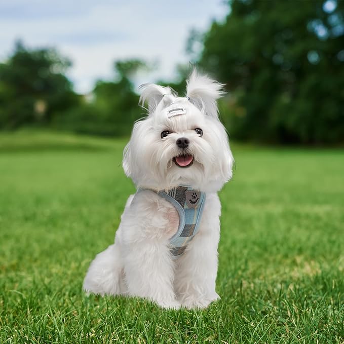 EXPAWLORER Classic Plaid Step in Dog Harness - Small Dog Collar and Leash - Soft Mesh Padded Adjustable Small Dog Vest Harness No Pull, Reflective Escape Proof for Outdoor Walking, Blue Large EXPAWLORER
