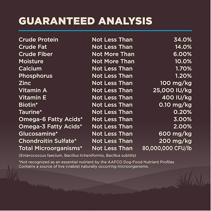 Wellness CORE Grain-Free High-Protein Dry Dog Food, Natural Ingredients, Made in USA with Real Meat, All Breeds, For Adult Dogs (Ocean Whitefish, Herring & Salmon, 4-Pound Bag) - PAWPICO