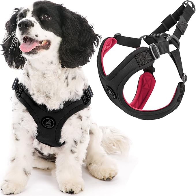 Gooby Sporty Escape Free Harness, Medium - Black, Neoprene, No-Pull, 4-Point Adjustment for Small Dogs up to 35 lbs Gooby