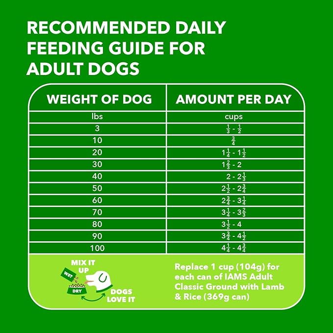 IAMS Minichunks Adult Dry Dog Food Lamb & Rice Recipe Dog Kibble, 30 lb. Bag - PAWPICO