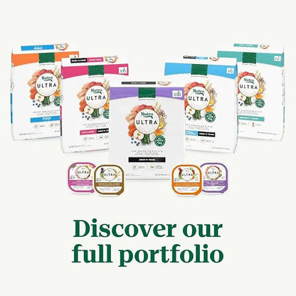 Nutro Ultra Adult Small Breed Dry Dog Food, Chicken, Lamb and Salmon Protein Trio, 3.5 lb. Bag - PAWPICO