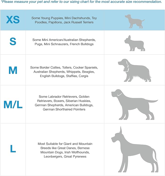 Blue-9 Buckle-Neck Balance Harness, Fully Customizable Fit No-Pull Harness, Ideal for Dog Training and Obedience, Made in The USA, Orange, X-Small Blue-9