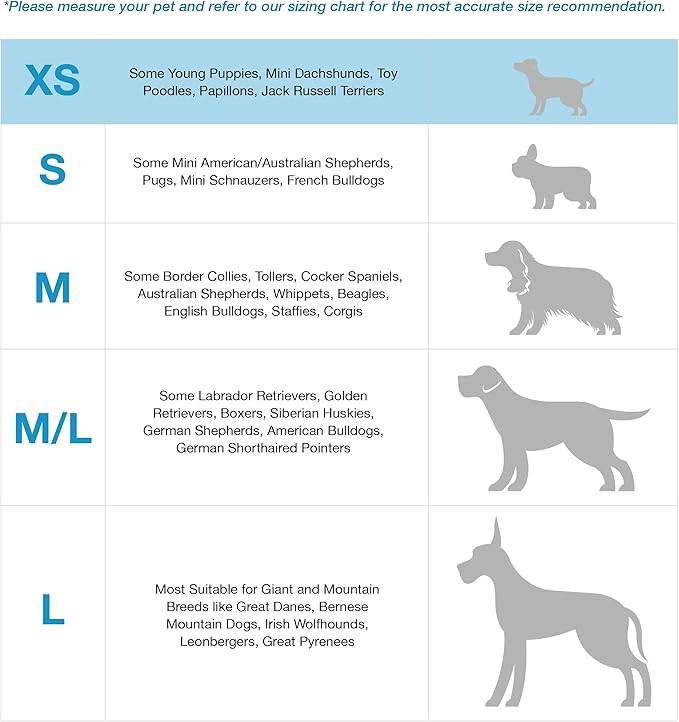 Blue-9 Buckle-Neck Balance Harness, Fully Customizable Fit No-Pull Harness, Ideal for Dog Training and Obedience, Made in The USA, Hunter Green, Extra Small Blue-9