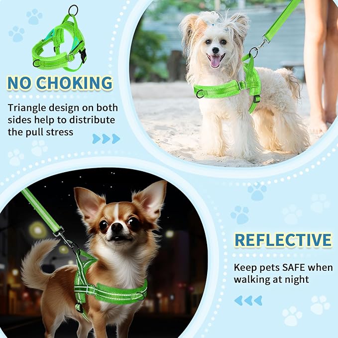 SlowTon No Pull Small Dog Harness and Leash Set, Puppy Soft Vest Harness Neck & Chest Adjustable, Reflective Lightweight Harness & Anti-Twist Pet Lead Combo for Small Medium Dogs (Green-Front Clip,XS) SlowTon