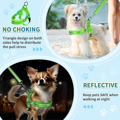 SlowTon No Pull Small Dog Harness and Leash Set, Puppy Soft Vest Harness Neck & Chest Adjustable, Reflective Lightweight Harness & Anti-Twist Pet Lead Combo for Small Medium Dogs (Green-Front Clip,XS) SlowTon
