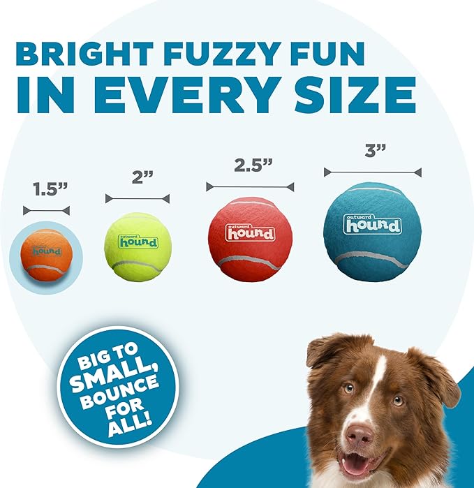 Outward Hound Squeaker Ballz Fetch Dog Toy, XS - 4 Pack - PAWPICO