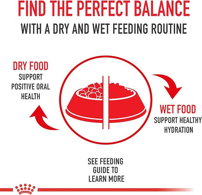 Royal Canin Shih Tzu Adult Breed Specific Wet Dog Food, 3 oz can (24-count) - PAWPICO