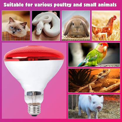 LUCKY HERP Infrared Heat Lamp for Chickens - 250 Watts Red Heat Lamp Bulb 1 Pack, Heat Light Bulb for Brooder Coop, Food Service, Chicks, Pet, Reptile LUCKYHERP
