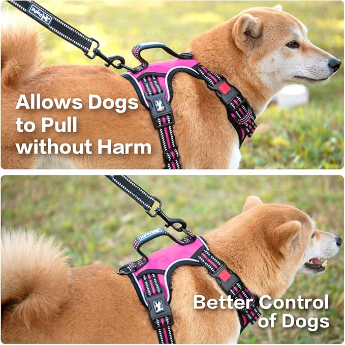 PoyPet No Pull Dog Harness, No Choke Front Clip Reflective Dog Vest with Soft Padded Vertical Handle, 3 Leash Attachments for Small Medium Large Dogs (Pink,L) PoyPet