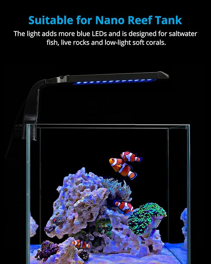NICREW Marine Clip on Aquarium Light, Saltwater Fish Tank Light for Coral Reef Tanks with LCD Timer, 2 Lighting Modes NICREW