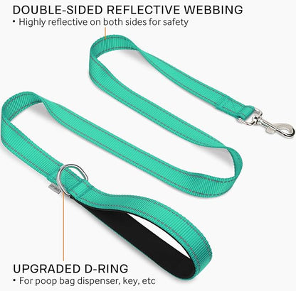 Joytale Double-Sided Reflective Dog Leash, 6 FT/5 FT/4 FT, Padded Handle Nylon Heavy Duty Leashes for Small & Medium Dogs Walking, Teal, 5FT Joytale