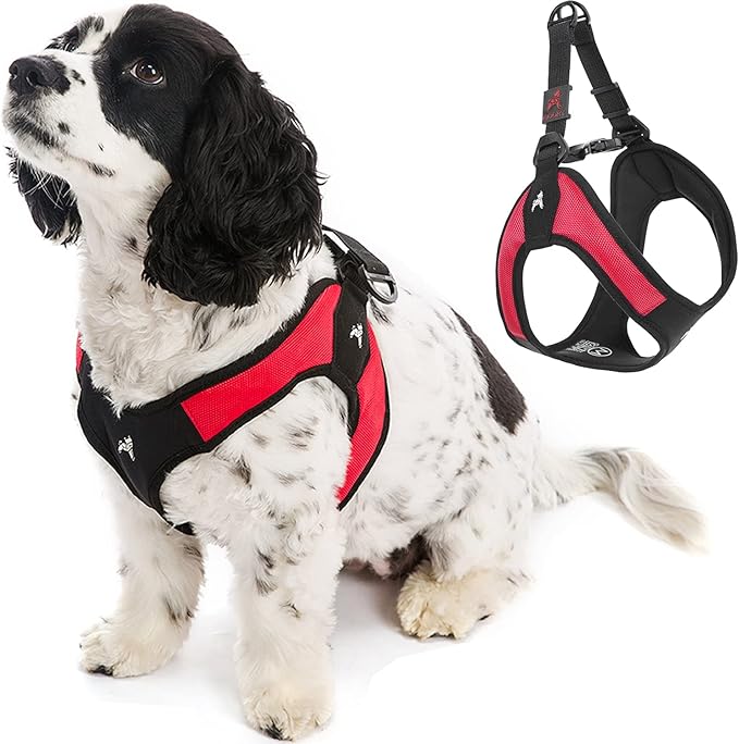 Gooby Escape Free Easy Fit Harness - Red, Small - No Pull Step-in Patented Small Dog Harness with Quick Release Buckle - Perfect On The Go No Pull Harness for Small Dogs or Medium Dog Harness Gooby
