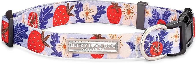 Lucky Love Dog Collars, Strawberry Cute Girl Dog Collar, Large Dog Collars for Females, Part of Purchase Donated to Rescue (Large, Sweet Berry, Collar) LuckyLoveDog