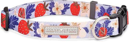 Lucky Love Dog Collars, Strawberry Cute Girl Dog Collar, Large Dog Collars for Females, Part of Purchase Donated to Rescue (Large, Sweet Berry, Collar) LuckyLoveDog