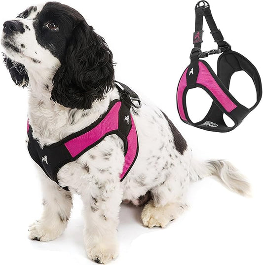 Gooby Escape Free Easy Fit Harness - Hot Pink, Large - No Pull Step-in Patented Small Dog Harness with Quick Release Buckle - Perfect On The Go No Pull Harness for Small Dogs or Medium Dog Harness Gooby