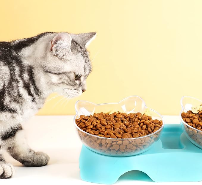 MILIFUN Cat Bowls, Cat Food Bowls Elevated Tilted, Anti Vomiting Kitty Bowls for Puppy and Bunny, Orthopedic Cat Bowls for Indoor Cats.(Blue) - PAWPICO