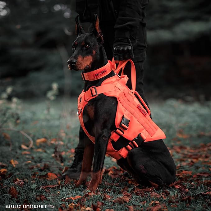 OneTigris Tactical Dog Harness for Small Dog, Mesh Design Service Dog Vest Breathable Military Dog Molle Vests with Handles, Harness for Walking Hiking Training OneTigris