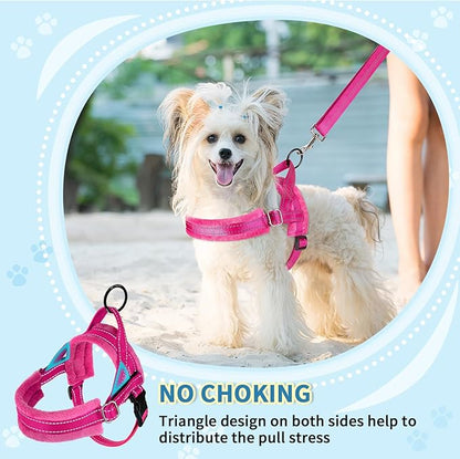 SlowTon No Pull Small Dog Harness and Leash Set, Puppy Soft Vest Harness Neck & Chest Adjustable, Reflective Lightweight Harness & Anti-Twist Pet Lead Combo for Small Medium Dogs(FU,L) SlowTon