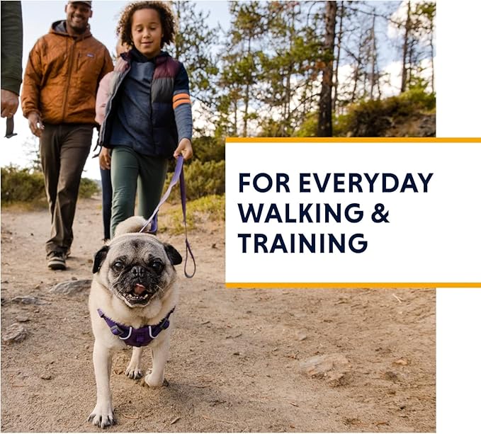 Ruffwear, Front Range Dog Harness, Reflective and Padded Harness for Training and Everyday, Red Clay, Small RuffwearInc