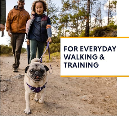 Ruffwear, Front Range Dog Harness, Reflective and Padded Harness for Training and Everyday, Red Clay, Small RuffwearInc