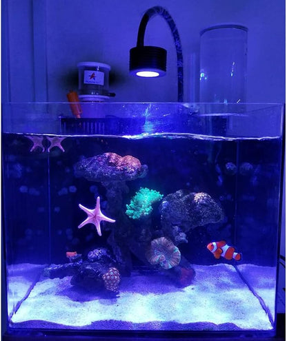Lominie LED Aquarium Light, Nano Coral Reef Light Clip on Aquarium Light Full Spectrum Remote Control Fish Tank Lamp Dimmable for Saltwater Fish Tank (Saltwater) Lominie