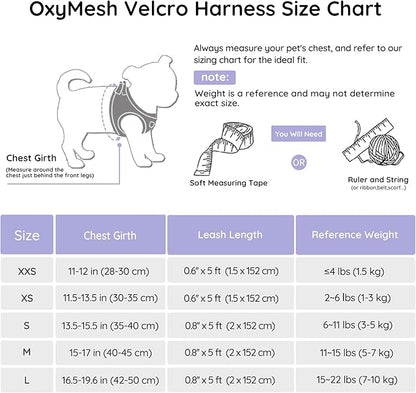 BELLA & PAL Small Dog Harness, Lavender, L, Animal Harness with Leash Set, No Pull, Step in, Reflective, Mesh, for Extra Small Dogs BELLAPAL