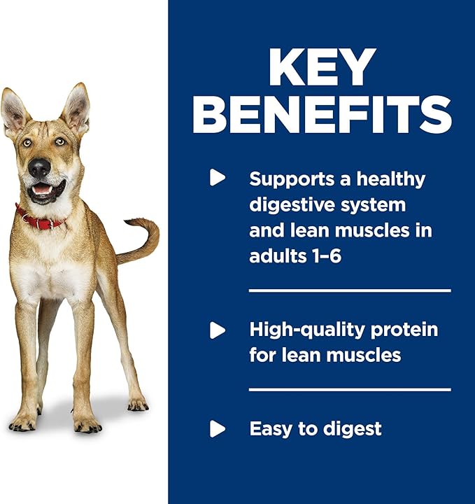 Hill's Science Diet Adult 1-6, Adult 1-6 Premium Nutrition, Wet Dog Food, Beef & Vegetables Stew, 12.8 oz Can, Case of 12 - PAWPICO