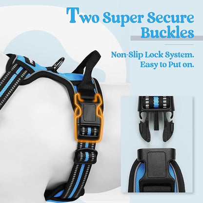 rabbitgoo Dog Harness No Pull with 2 Leash Clips, Adjustable Soft Padded, Reflective Oxford No Choke Pet Vest with Easy Control Handle for Small Dogs, Blue, S rabbitgoo