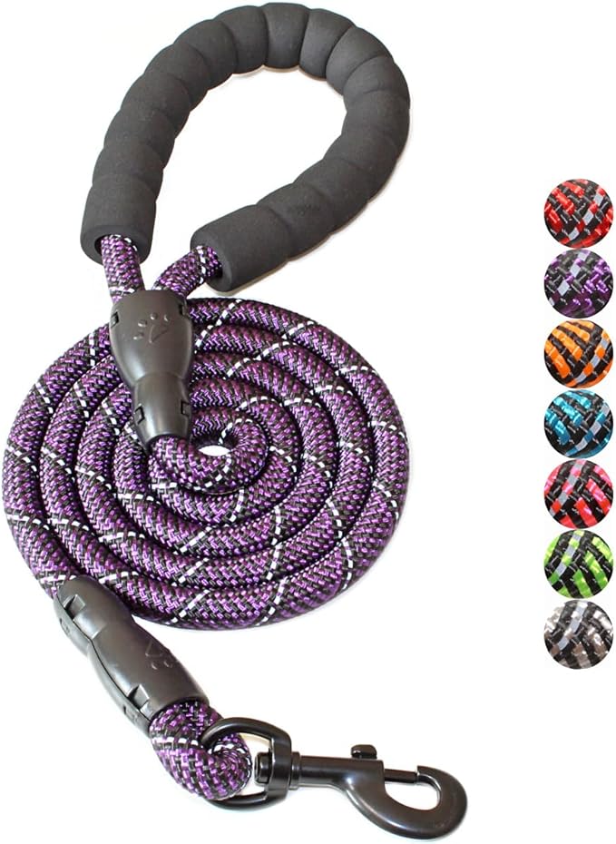 BAAPET 2/4/5/6 FT Dog Leash with Comfortable Padded Handle and Highly Reflective Threads for Small Medium and Large Dogs (5FT-1/2'', Black Purple) BAAPET