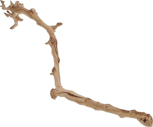 Exo Terra Forest Branch, Large ExoTerra