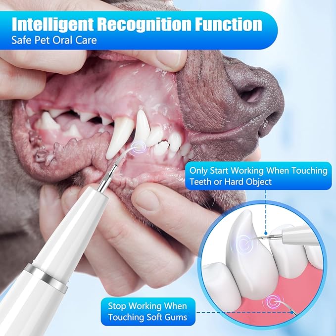 Dog Plaque Remover for Teeth, Dog Teeth Cleaning Kit with LED Light and 5 Modes, Teeth Cleaner for Dogs and Cats,White MIONJO