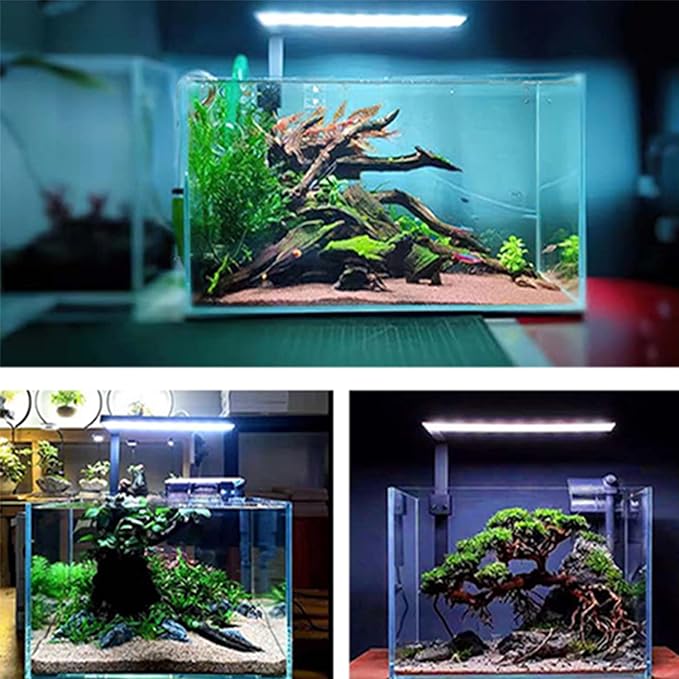 F FROK FFrok Aquarium Light for Fish Tank, Clip on LED Fish Tank Light, Clamp Aquarium Light with 5 Colors for 7 Gallons Tank, Betta Fish Tank, Miniature Landscape (Black) PAWPICO
