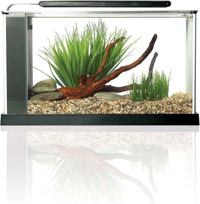 Fluval SPEC Aquarium Kit, Aquarium with LED Lighting and 3-Stage Filtration System, 5-Gallon Fluval