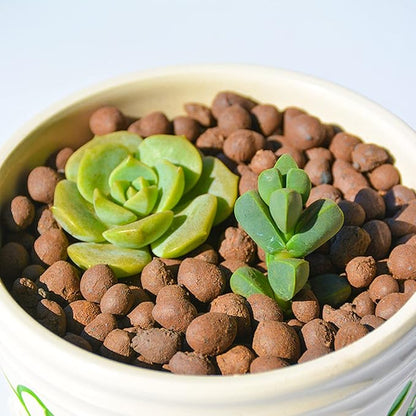 Halatool 16 LB Organic Clay Pebbles 4mm-16mm Leca for Plants 100% Natural Hydroton Clay Pebbles for Hydroponic Growing Gardening Orchids Drainage Decoration Aquaponics HALATOOL