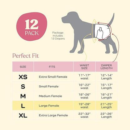 Comfortable Female Dog Diapers - 12-Pack Super Absorbent Disposable Doggie Diapers - FlashDry Gel Technology & Wetness Indicator - Leakproof Diapers for Dogs in Heat, Excitable Urination, Incontinence - PAWPICO