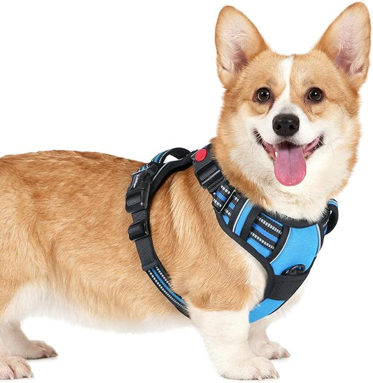 rabbitgoo Dog Harness Small Sized, No Pull Pet Harness with 3 Buckles, Adjustable Soft Padded Pooch Vest with Instant Control Handle, Easy Walking Reflective Pet Vest for Small Dogs, Sky Blue, S rabbitgoo